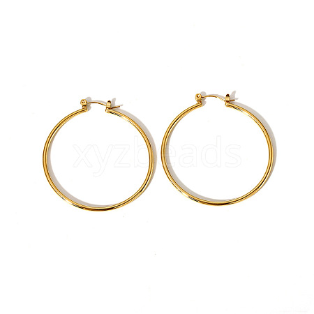 Stainless Steel Hoop Earrings SQ4494-1-1