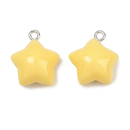 Opaque Resin Pendants RE-CBAF00C-11C-1