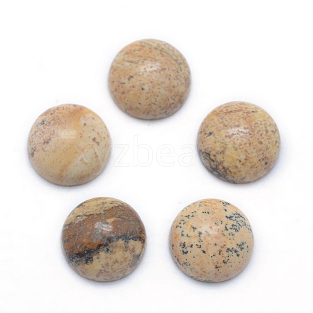 Natural Picture Jasper Cabochons G-P393-R51-6MM-1