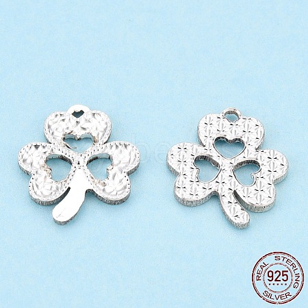 925 Sterling Silver Charms STER-T006-09-1