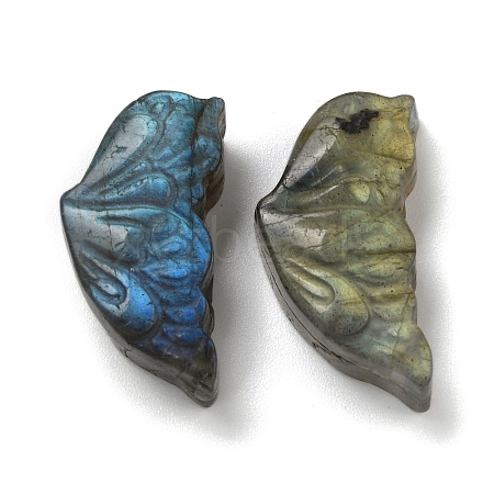 Natural Labradorite Carved Cabochons G-C152-03B-1