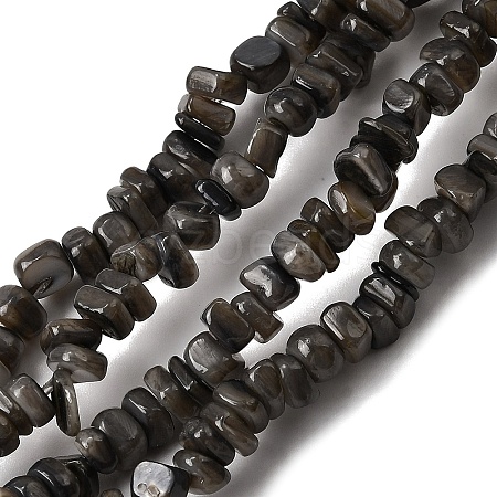 Natural Freshwater Shell Beads SHEL-B003-01J-1