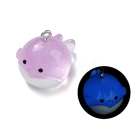 Luminous Resin Pendants RESI-R452-01F-1