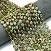 Natural Rhyolite Jasper Beads Strands G-C116-A74-02-1