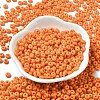 Baking Paint Glass Seed Beads SEED-B001-02A-07-2