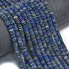 Frosted Natural Lapis Lazuli Beads Strands G-K389-C09-01-2