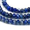 Natural Lapis Lazuli Beads Strands G-L587-B03-02-3