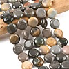 Natural Picasso Jasper Beads Strands G-L648-B03-15mm-1