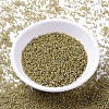 MIYUKI Delica Beads LS-X-SEED-J020-DB2046-2