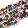 Natural & Synthetic Gemstone Chips Beads Strands G-L154-21-1