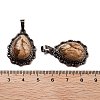 Natural Picture Jasper Teardrop Pendants G-K363-01R-21-3