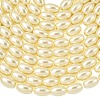 Eco-Friendly Glass Pearl Barrel Beads Strands HY-O001-A-03-2
