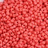 Baking Paint Glass Seed Beads X1-SEED-K010-A08-2