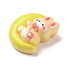 Resin Cabochons X1-CRES-Z010-03M-2
