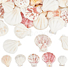 40Pcs Natural Scallop Shell Beads SSHEL-SP0001-02-1