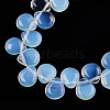 Opalite Beads Strands G-T138-117-3