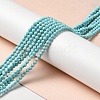 Natural Howlite Beads Strands G-C025-03B-01-2