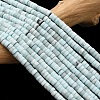 Dyed Synthetic Turquoise Beads Strands G-Z089-A04-C-2