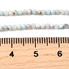 Natural Larimar Beads Strands G-G259-D13-2mm-5