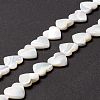 Natural Trochid Shell/Trochus Shell Beads SSHEL-O001-27C-4