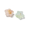 Gradient Color Transparent Acrylic Beads X1-OACR-M023-04A-2