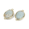 Natural Amazonite Faceted Connector Charms G-K347-11G-18-2