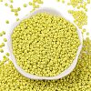 8/0 Baking Paint Glass Seed Beads SEED-M012-02A-48-2