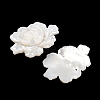 Natural White Shell Carved Cabochons SSHEL-I026-15-2