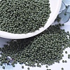 MIYUKI Round Rocailles Beads SEED-G007-RR0501-1