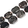 Natural Snowflake Obsidian Beads Strands G-B125-P21-01-1