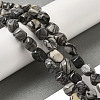 Natural Black Silk Stone/Netstone Beads Strands G-B078-D20-01-2