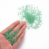 8/0 Transparent Glass Seed Beads SEED-S048-H-011-5