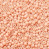 Baking Paint Glass Seed Beads SEED-H002-I-A527-3