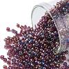 TOHO Round Seed Beads SEED-TR11-0166C-1