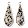 Natural Dalmatian Jasper Pendants G-S359-319C-2