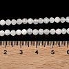 Natural Rainbow Moonstone Beads Strands G-B168-A11-4mm-5