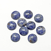 Natural Blue Spot Jasper Cabochons G-R416-10mm-45-1