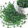 Glass Seed Beads SEED-A006-3mm-107B-1