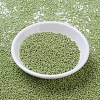 MIYUKI Round Rocailles Beads SEED-G007-RR0439-2