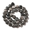 Natural Map Stone Beads Strands G-R190-10mm-64-3