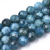 Natural Apatite Beads Strands G-S345-4mm-008-1