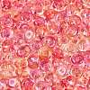 Transparent Colours Glass Seed Beads SEED-Q042-01A-A05-3