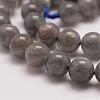 Natural Labradorite Bead Strands G-P259-03-8mm-3