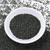 MIYUKI Delica Beads SEED-MY11-DB0273-2