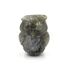 Natural Labradorite Carved Figurines Statues for Home Office Desktop Decoration PW-WGA73E9-07-1