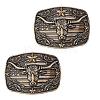 2Pcs Zinc Alloy Smooth Buckles FIND-NB0007-31A-02-6