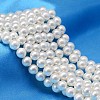 AB Color Plated Shell Pearl Round Bead Strands BSHE-L011-10mm-C001-1