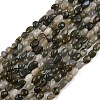 Natural Labradorite Beads Strands LS-G-C250-03-2