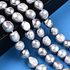 Natural Cultured Freshwater Pearl Beads Strands PEAR-N014-10B-2