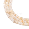 Natural Freshwater Shell Beads Strands SHEL-P017-01A-10-3